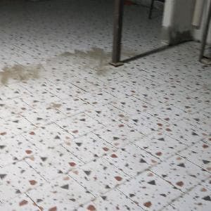 معلم بلاط