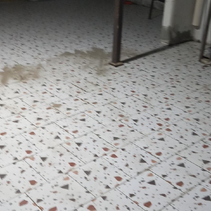 معلم بلاط