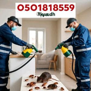مكافحة الحشرات رش مبيدات بالرياض