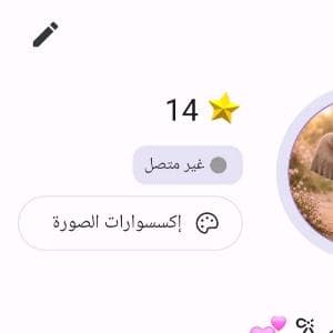 حساب بالرينقو  Palringo  حساب ولف مستوى 14 ب150