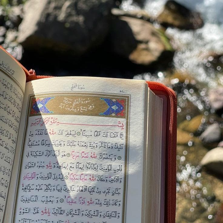 معلمة قرآن لجميع الأعمار عن بعد