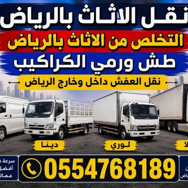 دينا تخلص من الاثاث بالعقيق وحولها