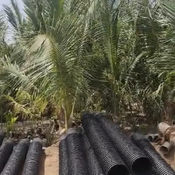 مشتل للتقبيل بمساحة 10000 متر