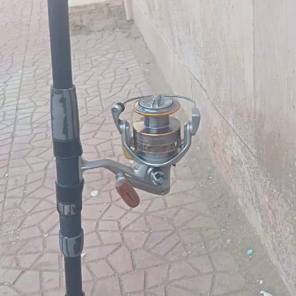 سنارة صيد سمك