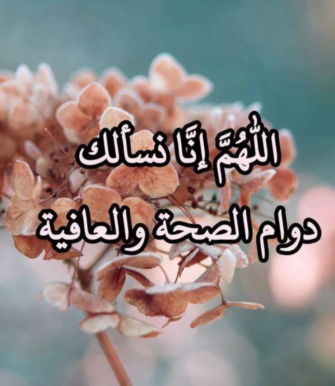مصفف أرفف أو  merchandise