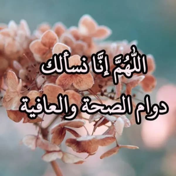مصفف أرفف أو  merchandise