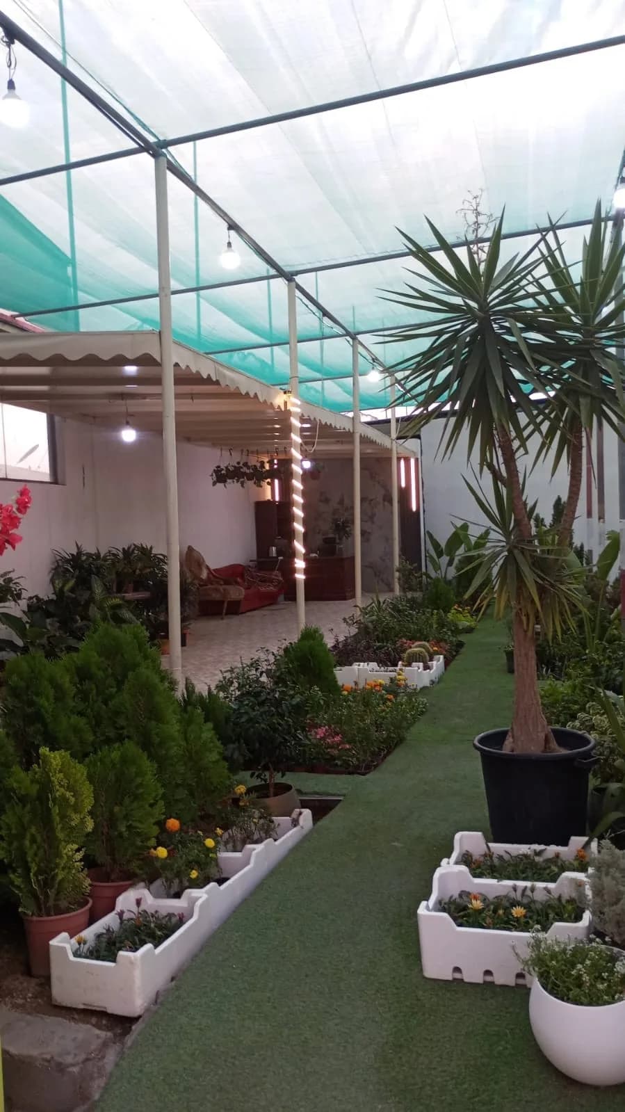 Agricultural nursery in central Khamis Mushait for lease transfer