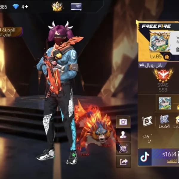 Level 85, almost at level 86