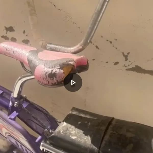 سيكل نظيف رامبو