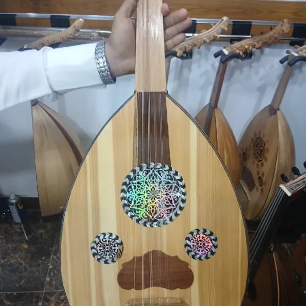 عود الفن مصري